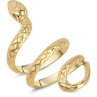 Charmin's Goudkleurige Chunky Ring Als een Slang R1848 &ndash; Groot en Krachtig.