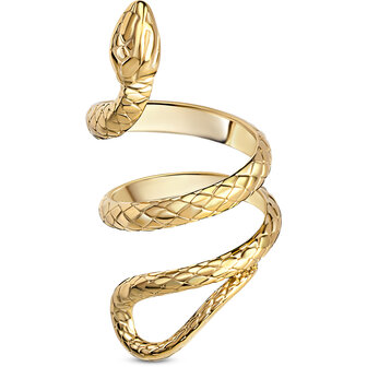 Charmin's Goudkleurige Chunky Ring Als een Slang R1848 &ndash; Groot en Krachtig.