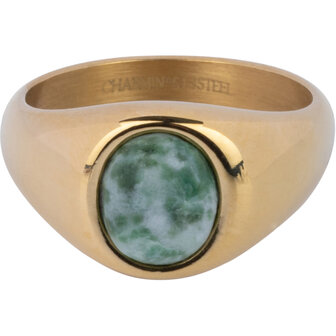 Charmin's Goudkleurige Zegelring met Bolle Ovale Mosagaat Edelsteen Staal R1272