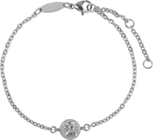Charmin&#8217;s  CB30 Roman Coin Bracelet Shiny Steel