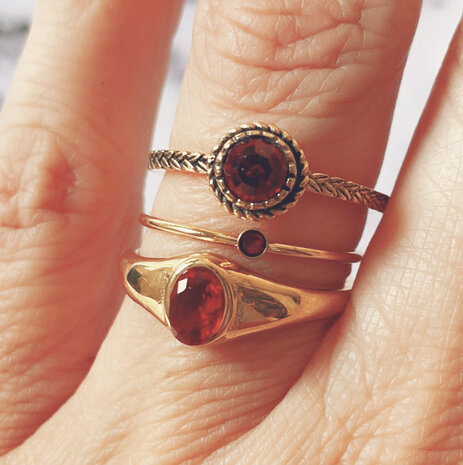 Charmin's Goudkleurige Ring Birthstone Januari Garnet Rode Kristal Iconic Vintage R1101 