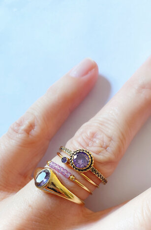 Charmin's Goudkleurige Ring Birthstone Februari Paars Lila Kristal Staal Iconic Vintage R1093