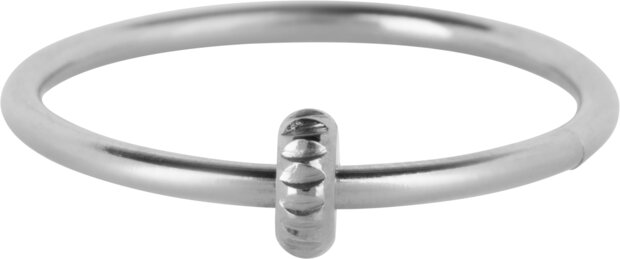 Charmin's Rollend Schijfje Anxiety Fidget Ring Staal R1354