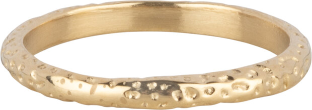 Charmin's Gold-Colored Oval Ring with Hammered Design Steel R1642 – Authentic and Handmade Look
