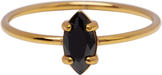Charmin's Goudkleurige Ring met Ellipsvormig Zwart Kristal R1692– Elegant Contrast