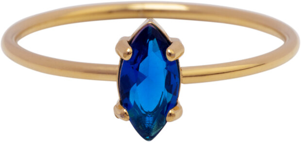 Charmin's Goudkleurige Ring met Ellipsvormig Donkerblauw Kristal R1688– Diep en Sierlijk