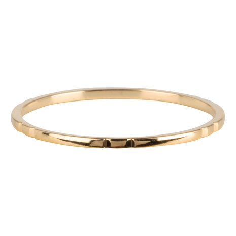 Charmin’s goudkleurige stapelring R736 Small Basics 6 engravings goldplated staal