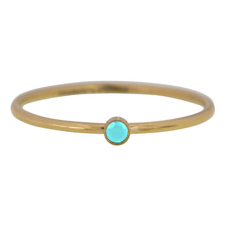 Charmin's Birthstone December Turquoise Steen Goldplated R789/KR86