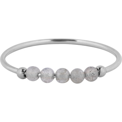 Charmin's Anxiety Ring Labradoriet Edelsteen Kraal Staal R1340