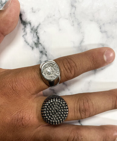 Charmin's UNI Men's and Women's Signet Ring Familia Supra Omnia Steel R999