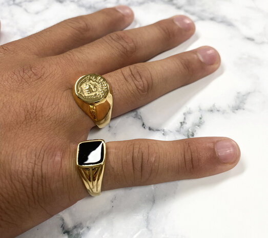 Charmin's UNI Men's and Women's Signet Ring Familia Supra Omnia Steel R999