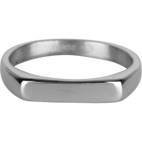 Charmin's UNI Men's Signet Ring Oblong Steel R965