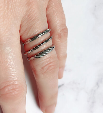 Charmin's Ring Leaves Shiny Staal R1242
