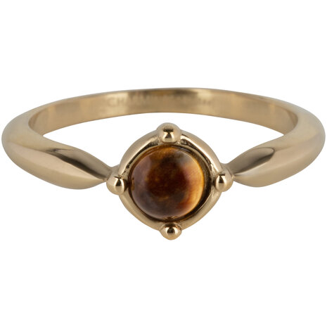 Charmin’s Ronde Elegante Tijgeroog Ring Staal R1171