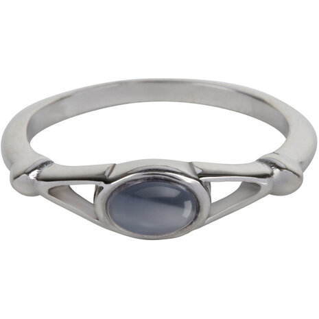 Charmin’s Ovale Elegante Blauw-Paarse Cateye Ring Staal R1160