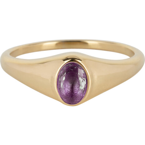 Charmin’s R1084 Birthstone zegelring Februari Purple Amethyst Oval Stone Goldplated