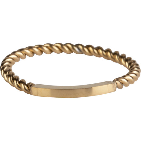 Charmin’s basisring R1030 Gedraaid met een Plaatje Goldplated 