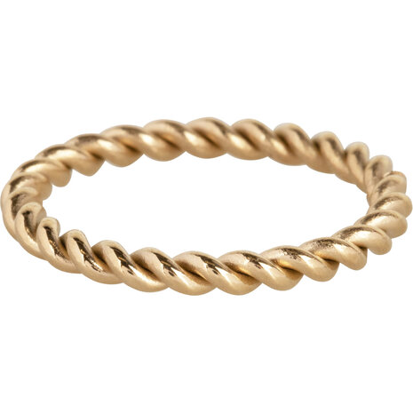 Charmin’s Goudkleurige Gedraaide Ring Staal 2mm R1008
