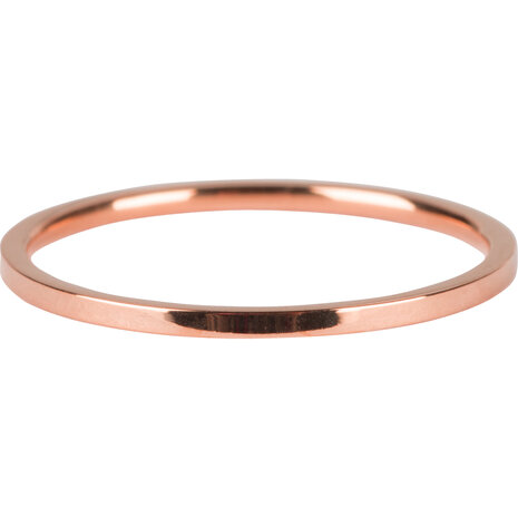 R694 Basic Petite Rose Gold Steel
