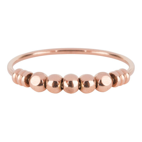 R518 Palm Rose Gold Steel