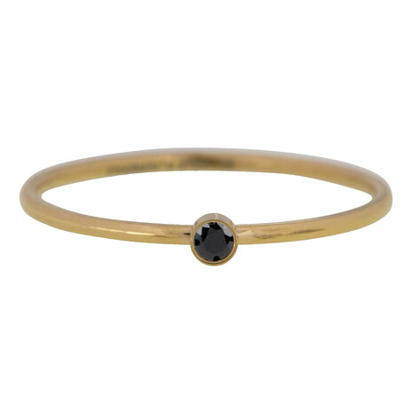 R493 Shine Bright 2.0 gold Steel with black crystal