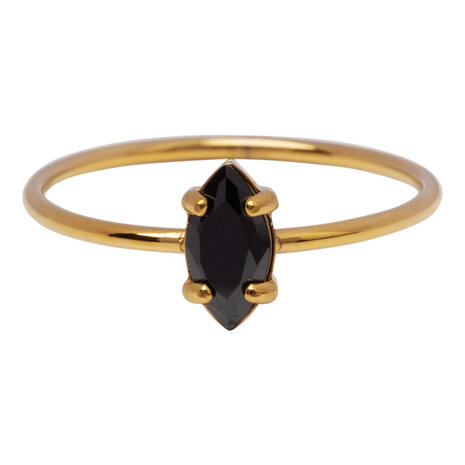 Charmin's Goudkleurige Ring met Ellipsvormig Zwart Kristal R1692– Elegant Contrast