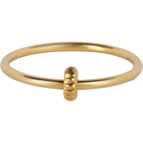 Charmin's Goudkleurig Rollend Schijfje Anxiety Fidget Ring Staal R1355