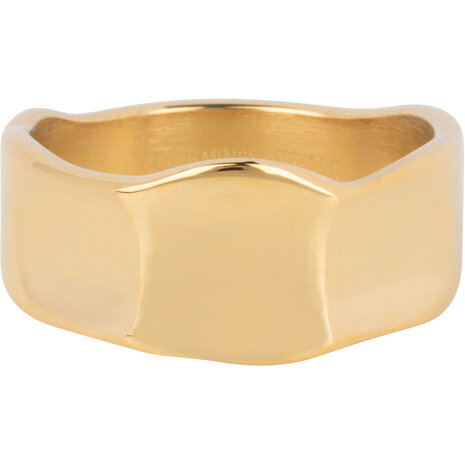 Charmin's Goldfarbener breiter moderner Fantasy-Ring aus Stahl R1391