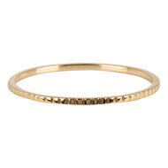 Charmin&rsquo;s goudkleurige stapelring R740 Small Basics Bricks goldplated staal