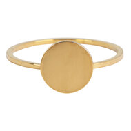 Charmin&rsquo;s basisring R717 Minimalist Round Gold Steel