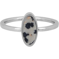 Charmin&#039;s Oval Signet Ring with Oval Dalmatian Jasper Gemstone Steel R1274