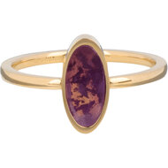 Charmin&#039;s Gold-colored Oval Signet Ring with Amethyst Gemstone Steel R1219