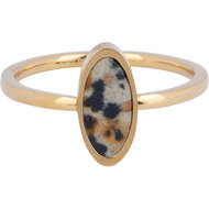 Charmin&#039;s Gold-colored Oval Signet Ring with Dalmatian Jasper Gemstone Steel R1208