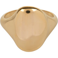 Charmin&#039;s Goudkleurige Grote Organische Zegelring Staal R1150 &ndash; Comfortabele Eyecatcher