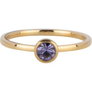 Charmin&#039;s Goudkleurige Ring Birthstone Februari Paars Lila Kristal Staal Iconic R1594