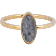 Charmin&#039;s Oval Gold-Colored Signet Ring with Oval Moss Agate Gemstone Steel R1212