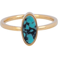 Charmin&#039;s Signet Ring with Oval Turqouise Gemstone Gold Steel R1210