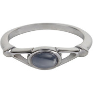 Charmin&rsquo;s Ovale Elegante Blauw-Paarse Cateye Ring Staal R1160