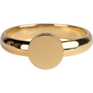 R827 Pudgy Seal Ring Round  Gold Steel