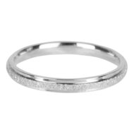 R563 Sanded and Shiny Steel