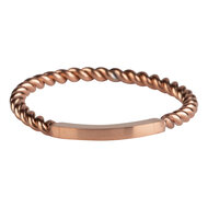 Charmin&rsquo;s basisring R1031 Gedraaid met een Plaatje Rosegoldplated 