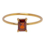 Charmin's Goudkleurige Ring Rechthoekig Ruby Rood Steentje R1726 &ndash; Koninklijke Look 