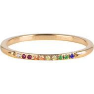 Charmin&rsquo;s Stalen Goudkleurige Stapelring Regenboog Petite Alliance R1397