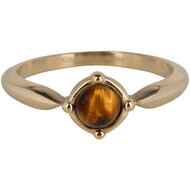 Charmin&rsquo;s Ronde Elegante Tijgeroog Ring Staal R1171