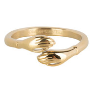 Charmin's Freundschaftsring aus Stahl R1399