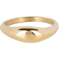 Charmin's Gold-colored Modern Asymmetrical Signet Ring Oval Steel R1369