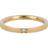 Charmin's Stalen Goudkleurige Ring Met 2 mm Kristal R1562 Precious Shiny Steel