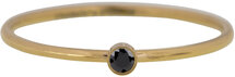 R493 Shine Bright 2.0 gold Steel with black crystal