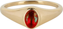 Charmin’s R1221 Birthstone zegelring January Red Garnet Oval Stone Goldplated