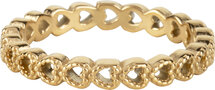 Charmin’s Valentijn Love Row of Hearts Shiny goldplated R1289